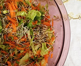 Salada de broto colorida